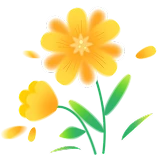 Bundels met de beste prijs-kwaliteitverhouding