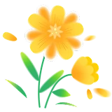 Bundels met de beste prijs-kwaliteitverhouding